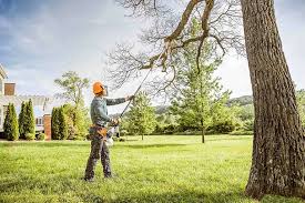 Best Arborist Consultation Services  in Wellsville, UT